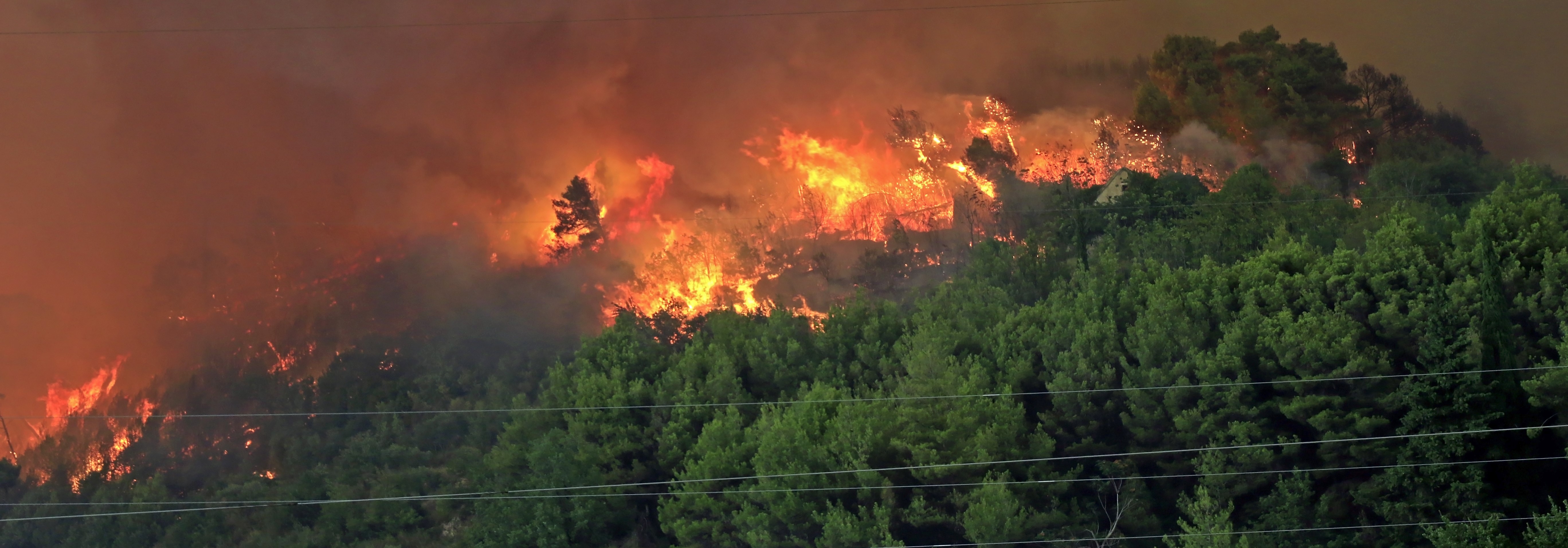 Wildfire events Where Fun Meets Adventure