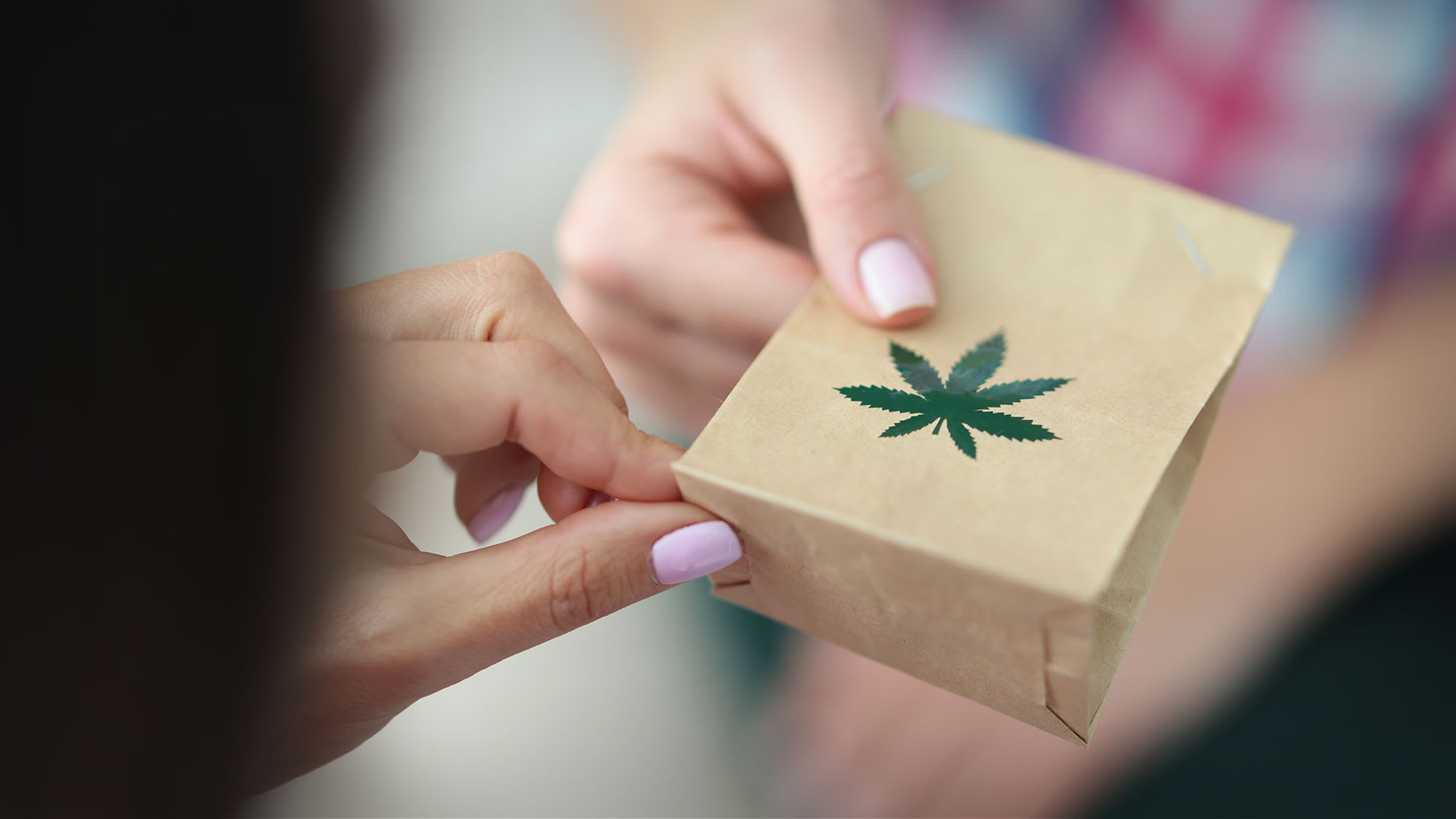 Fast and Reliable Halifax Bud Express: Your Local Cannabis Delivery Service